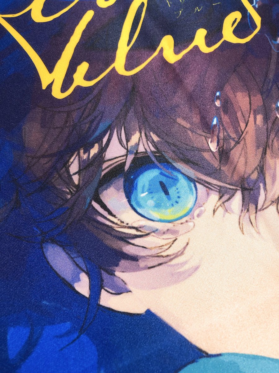 「布ポスター届いたんだけど印刷が想像以上に美しくて青も全然沈んでないし何よりコンパ」|rototoのイラスト