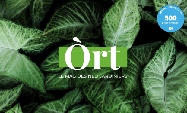 MagaliRouxNA's tweet photo. Ort Magazine, le mag de néo-jardiniers lancé par ma sœur @LaetitiaRx : découvrez, partagez, soutenez 
https://t.co/0T8dd1AIR0 https://t.co/HscJZNYyb6