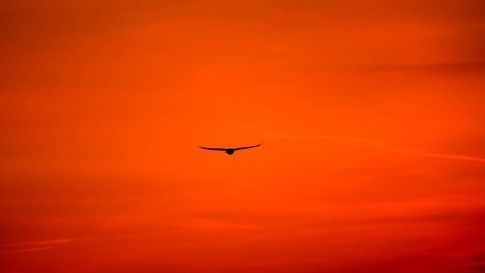 Stargo (@stargoco) on Twitter photo What are the B-I-R-D technologies and how can they help your business? The <a href="/WEF/">World Economic Forum</a> explains how they can allow businesses of all sizes to take flight. Learn more here >> buff.ly/2tY0DTs
#technology #data #iot What are the B-I-R-D technologies and how can they help your business? The <a href="/WEF/">World Economic Forum</a> explains how they can allow businesses of all sizes to take flight. Learn more here >> buff.ly/2tY0DTs
#technology #data #iot