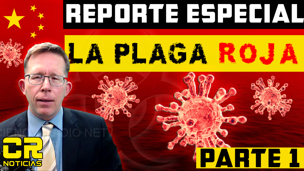 Alex Backman - Oficial on Twitter: 