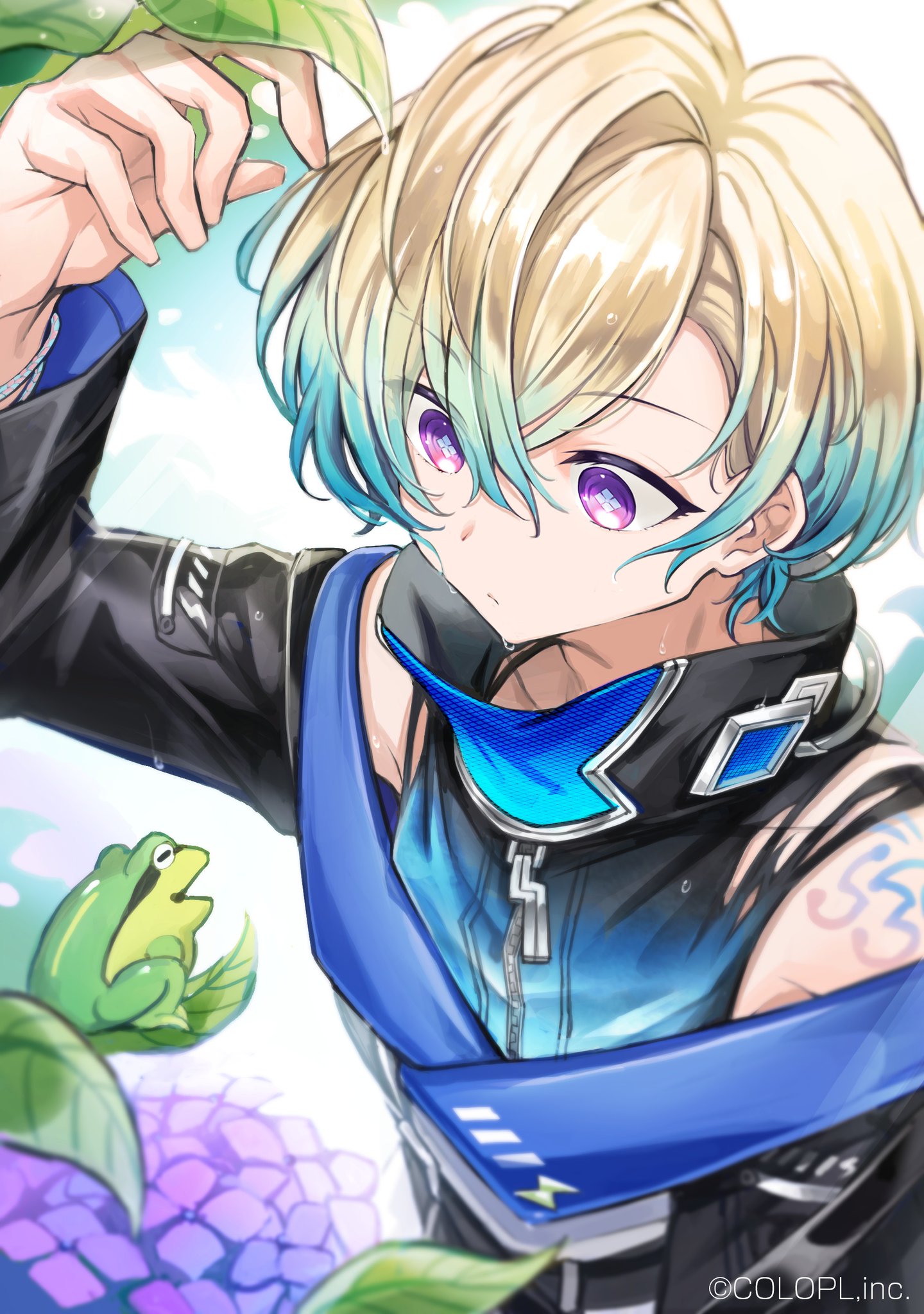 公式 白猫プロジェクト 運営チームから届いた Lost Weather Cord ー晴れと雨のキズナー のイラストをお届けするにゃฅ W ฅ 担当のイラストレーターさんから サテラの目は昇る太陽 ジークの目はアジサイをイメージしています 肌の紋様とあわせて