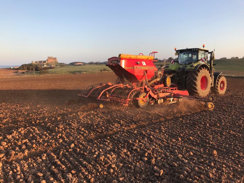 Who would have thought we could be sowing beans in early February after that wet winter. Storm Ciara may bring an end to this in Sunday