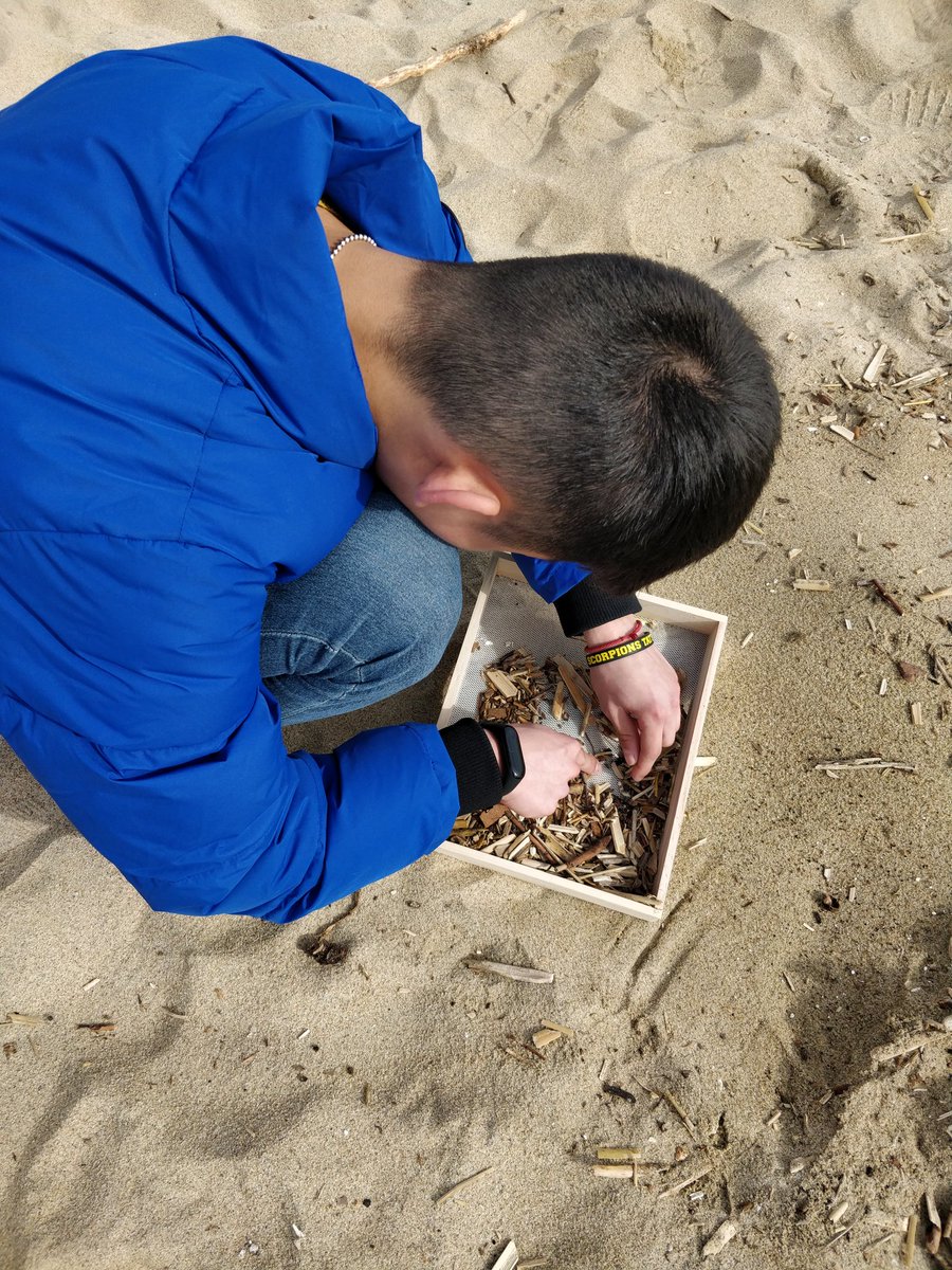 EscolaLaSagrera's tweet photo. Seguim! No i parem..
Buscant plàstics i microplàstics per la platja!
#5cases
#JornadaInnovacio https://t.co/oJngF0dfI1