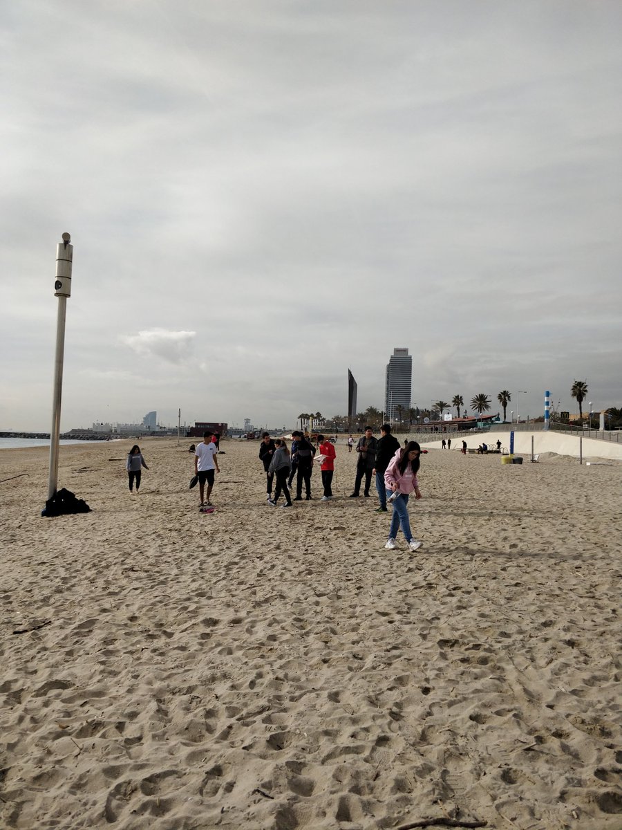 EscolaLaSagrera's tweet photo. Seguim! No i parem..
Buscant plàstics i microplàstics per la platja!
#5cases
#JornadaInnovacio https://t.co/oJngF0dfI1