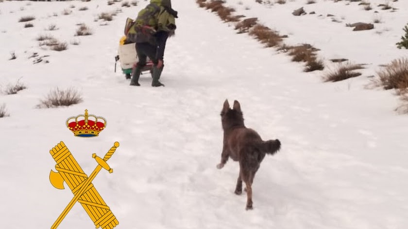 MqGuardiaCivil's tweet photo. Guardia Civil #Almería. Rescatan a un hombre que llevaba tres meses atrapado por la nieve en #Beires
F.J.G.L. de 49 años sin domicilio conocido, estaba sin víveres y acompañado de dos perros.
https://t.co/kh5T2BQ8QJ https://t.co/44Vg6LobnQ