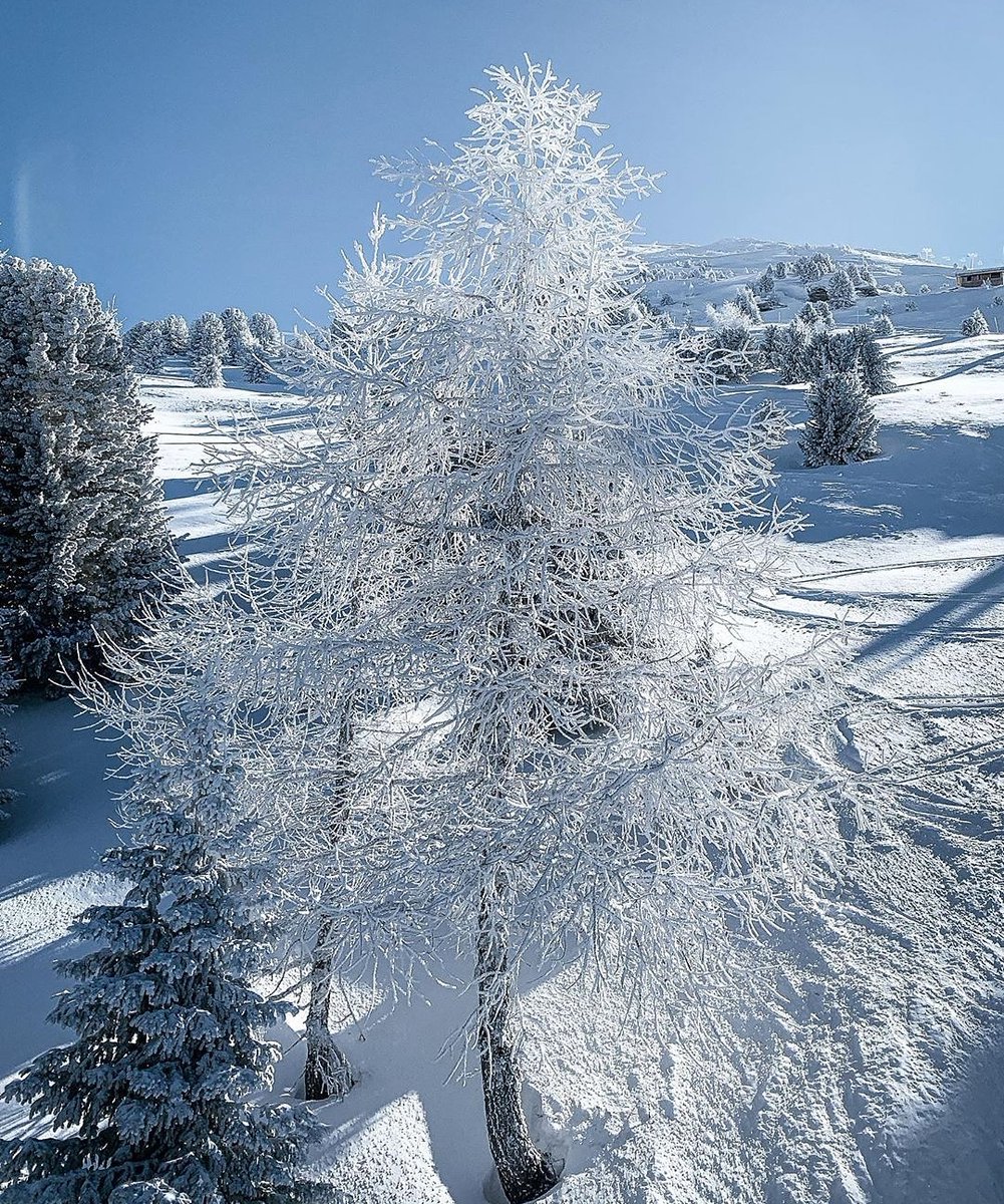 Blancheur matinale à La Norma ❄️
Merci à @stationlanorma pour l'identification Instagram !