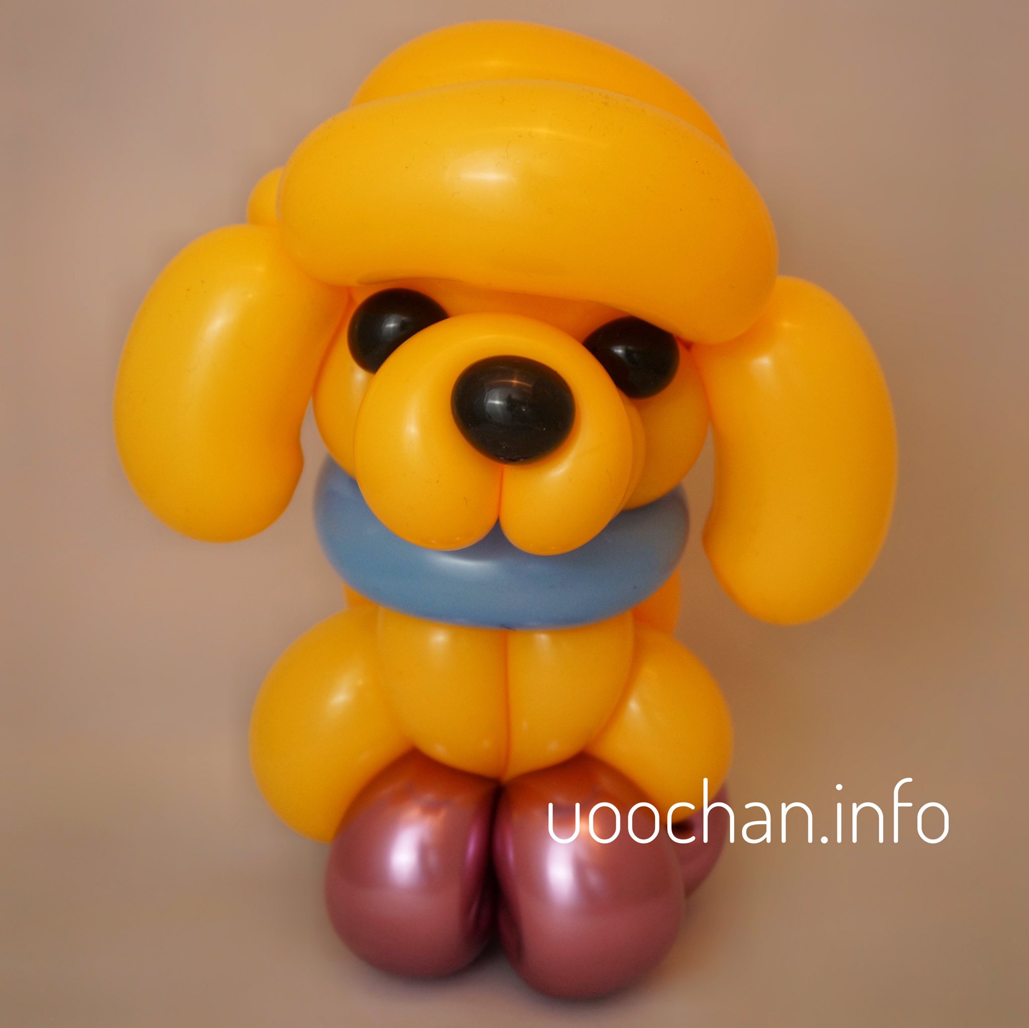 大道芸人うー バルーンドールの人 トイプードル をバルーンアートで 練習会でカットしてないトイプードル難しいって話になったのでイメージで トイプードルかと言われるとむむむ でもそこそこ簡単に可愛くまとまったのは良かったかな バルーン 大道芸人うー バルーンドールの人 トイプードル をバルーンアートで 練習会でカットしてないトイプードル難しいって話になったのでイメージで トイプードルかと言われるとむむむ でもそこそこ簡単に可愛くまとまったのは良かったかな バルーン