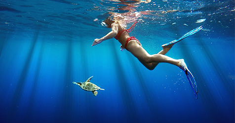 +++ Auf zur fre.e München! +++

Sehen wir uns auf der fre.e - freizeit-reisen-erholung München vom 19.02. -23.02.2020 Halle A6 Stand 233?

Unser Highlight: Kabinencharter im Schnorchelparadies Indischer Ozean!

argos-yachtcharter.de/s/tw-02-2020-f…