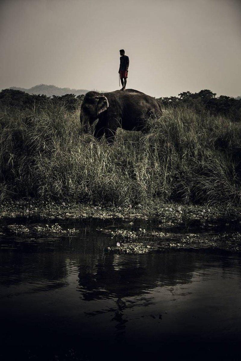 cntraveller's tweet photo. "Leopards and tigers and elephants, oh my. Stay low in Nepal and you might be surprised by what you'll find..." #BreakfastRead https://t.co/YbjQDI36OV https://t.co/y9HkYaYMoc