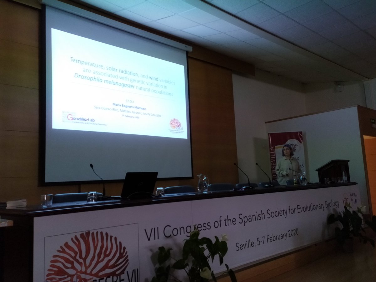 sesbe2020 tweet media