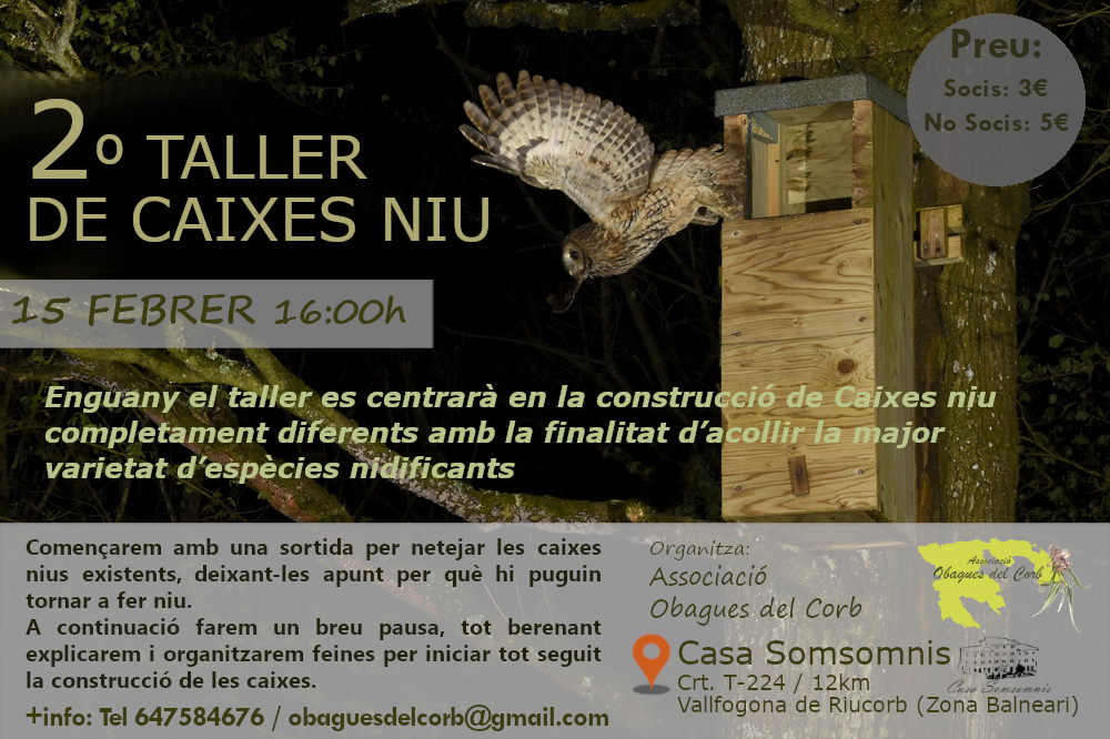 Obagues del Corb tweet media