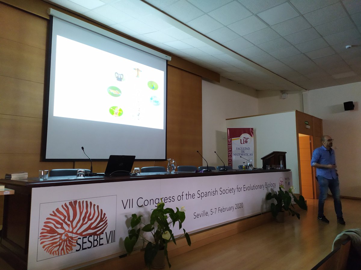 sesbe2020 tweet media