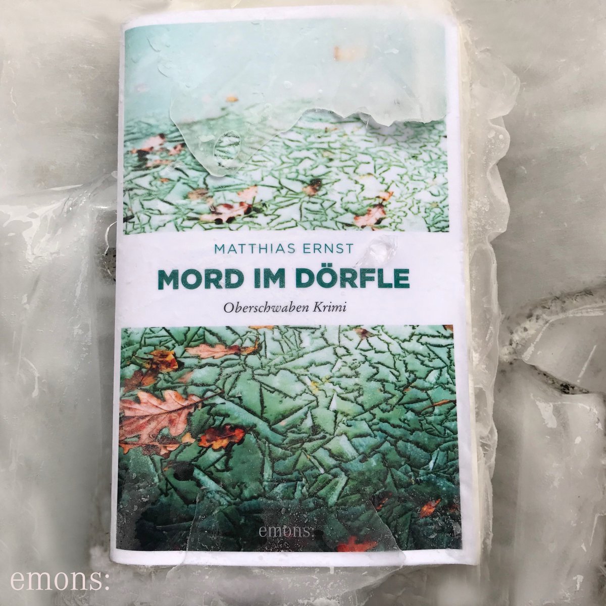 Eigentlich will Kommissar Wellmann seinen Skiurlaub genießen, als während der Fasnet ein totes Liebespaar aufgefunden wird – genau dort, wo vor mehr als zwanzig Jahren Wellmanns große Liebe starb. Die Spur führt zu einem Drogenring, der den Landkreis Biberach im Griff hat.
