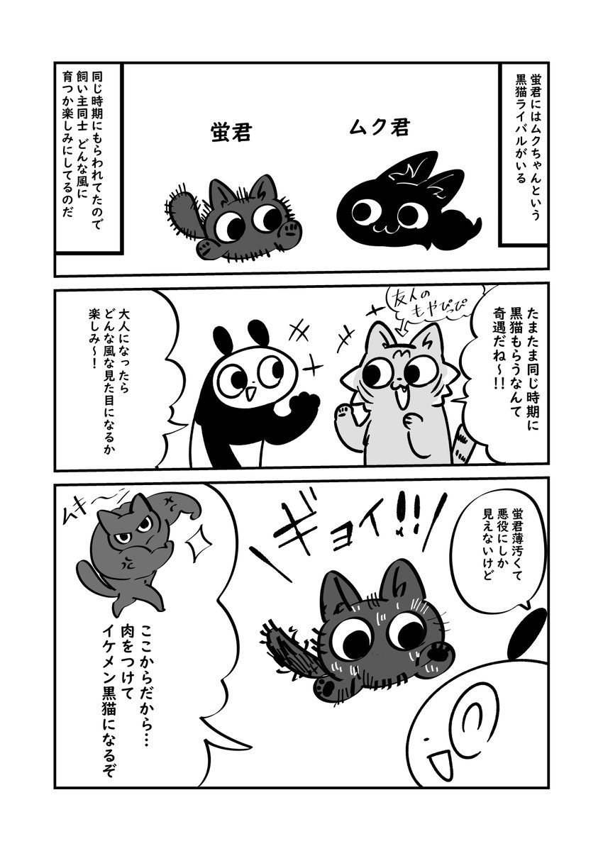 ぬら次郎 ねこパン日記 3巻2 12発売 成長を競い合う黒猫二匹の話 蛍君のガリガリな姿が体調面でなく個性だと気づくのに 時間がかかりました ぬら次郎日記 ぬら次郎 ねこパン日記 3巻2 12発売 成長を競い合う黒猫二匹の話 蛍君のガリガリな姿が体調面でなく個性だと気づくのに 時間がかかりました ぬら次郎日記