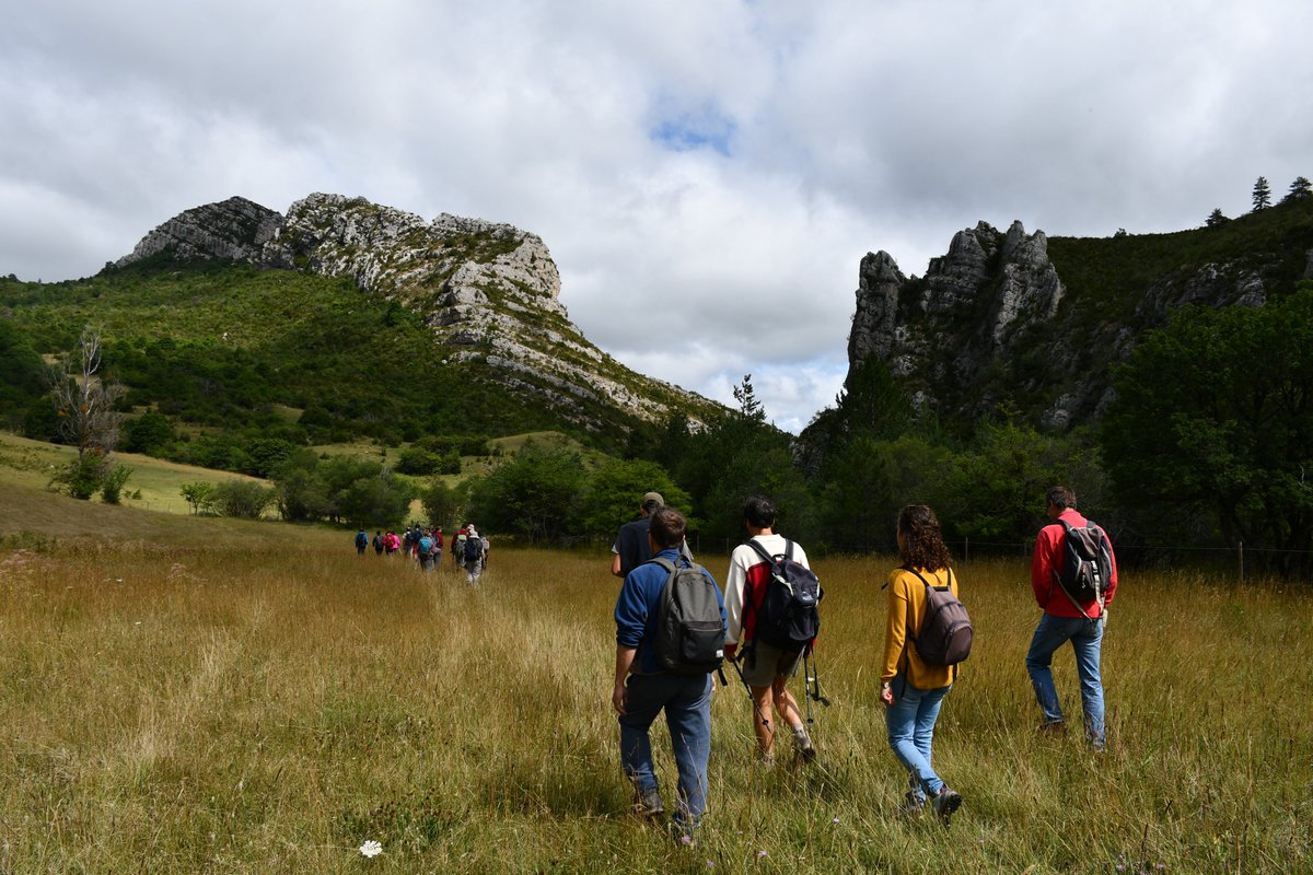 ✨Le <a href="/CAIRNCentredart/">Cairn</a> recherche un.e volontaire pour une mission de service civique de 6 mois à partir du 15 avril 2020 !! 🏔️🤩🌿
👉+ d'infos par ici : cairncentredart.org/fr/2020/02/le-…