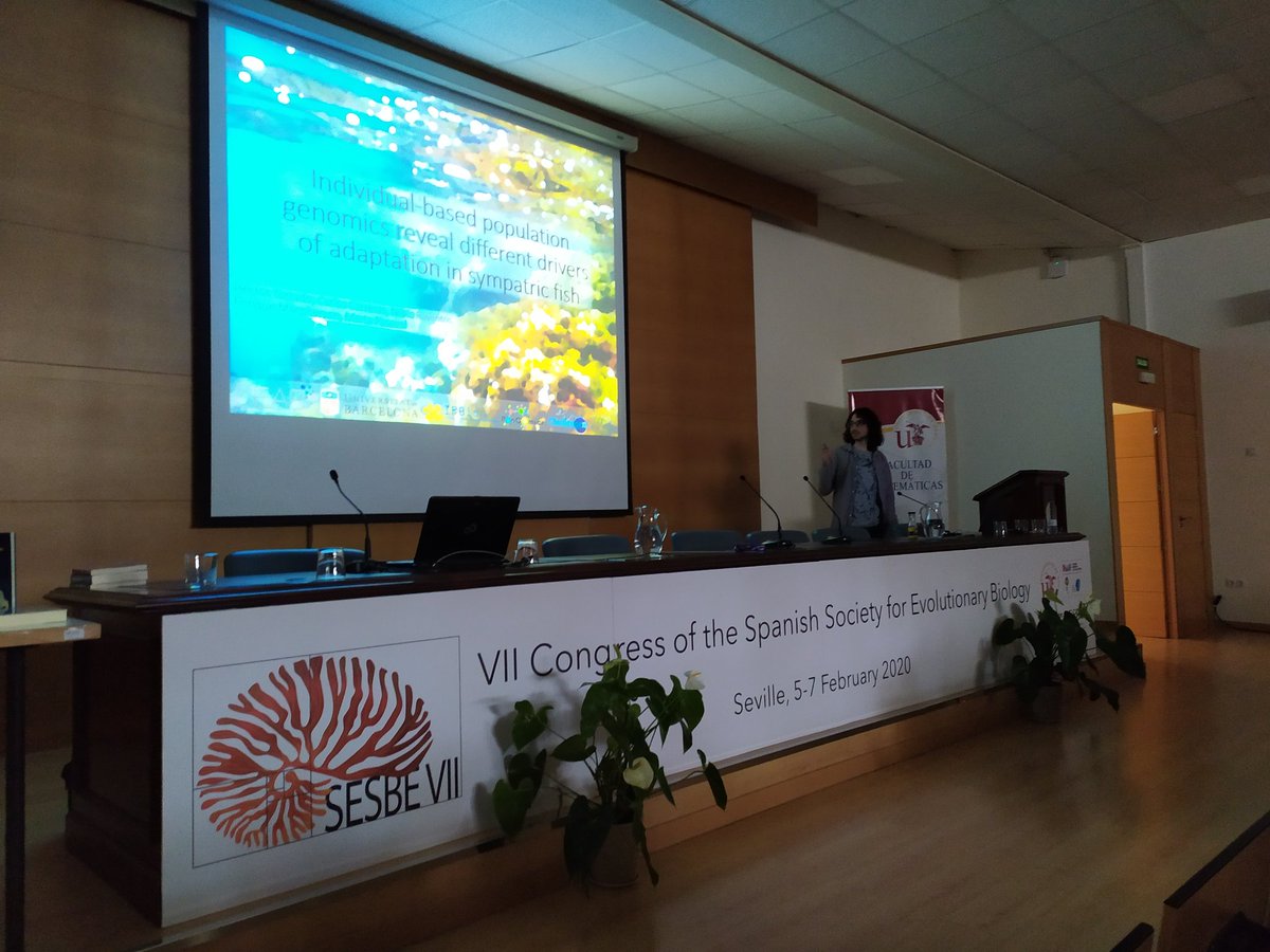 sesbe2020 tweet media