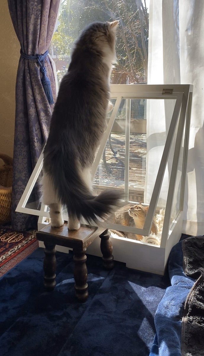 桑原弘明さんの人気画像 ついふぁん!