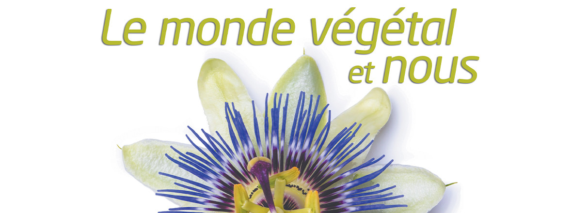 fontenay92's tweet photo. Derniers jours pour voir les expositions "Botanique" et "Mousses, sentinelles de la pollution" dans les salons de la médiathèque. #LSSL2020 https://t.co/TUkgmCIUaM
