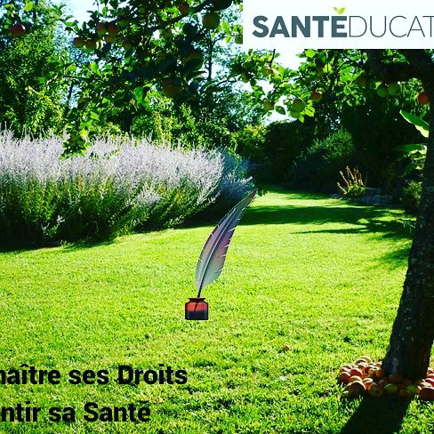 journalsante's tweet photo. Les établissements pénitentiaires et autres locaux détention doivent être dans un bon état d'hygiène, bien aérés et éclairés. Ils sont soumis à un contrôle sanitaire permanent.
 
#Santé-Education
#PromotionSanté
#Art41CodeSanté
#Togo https://t.co/HeSOhnWaXz