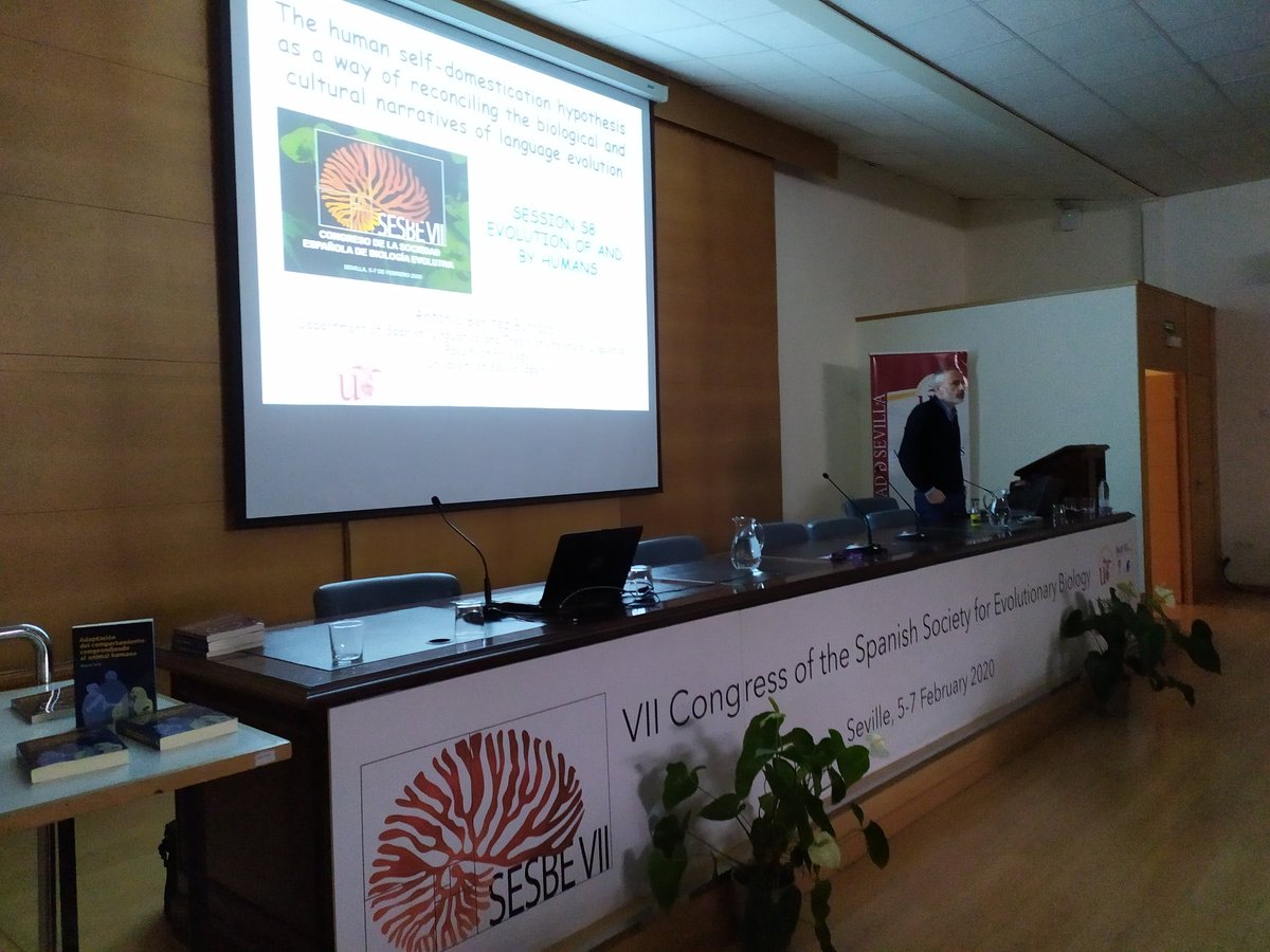 sesbe2020 tweet media