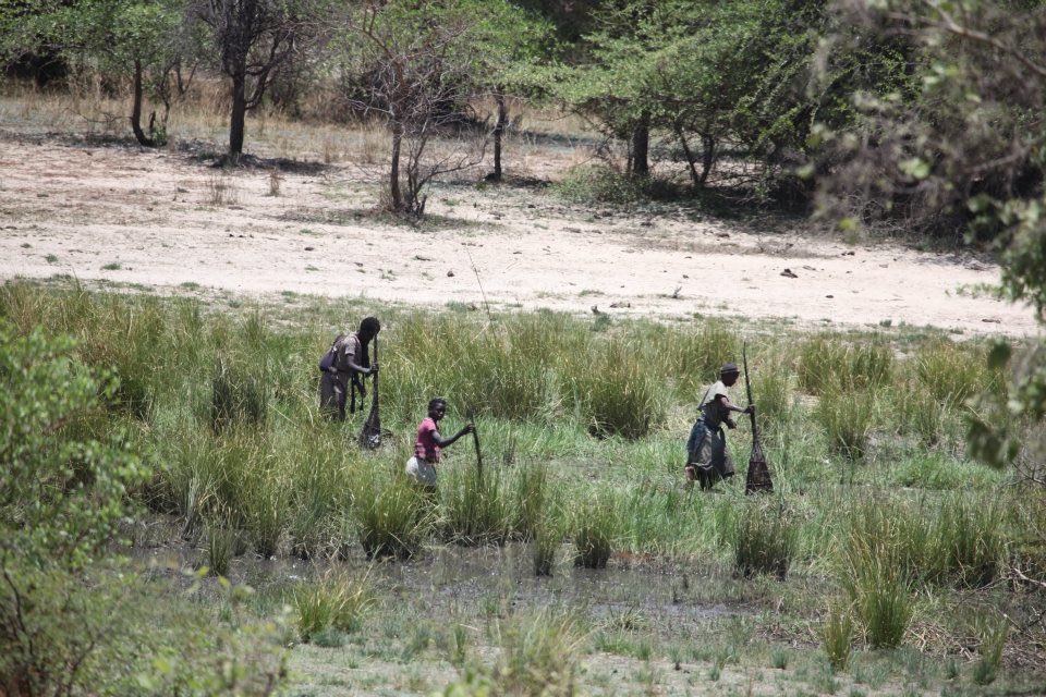 AngolaRoads's tweet photo. Smoked Catfish is very popular and sold across Angola roads. If travelling around #Dirico towards Faixa de Caprivi and heading to Jamba in #Cuandocubango, is very common to witness families with these catfish traps made of hard grass. https://t.co/cQvFIv9gX0