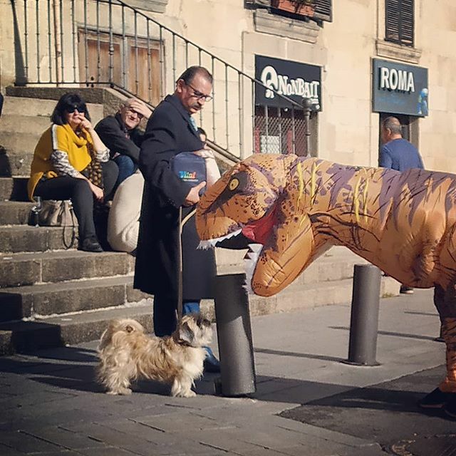 ¡Eso no me lo dices a la cara!

#planeta_Gasteiz #gasteiz #igersgasteiz #igerseuskadi #perros #dogsofinstagram #picoftheday #humor #fun #dinosaurios #basquecountry