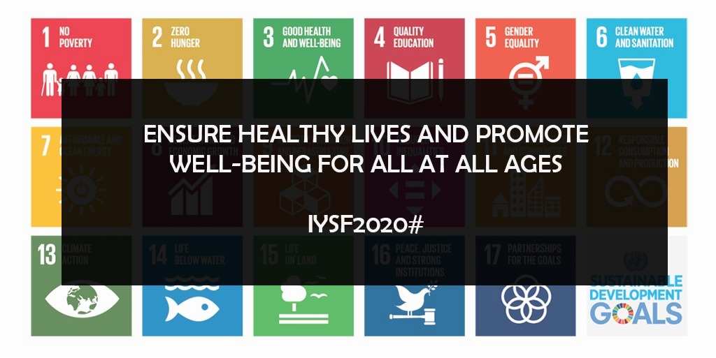 Nimra_qureshi_3's tweet photo. A diversified economy is a central pillar of economic security.#IYSF2020 https://t.co/AhOX4mXtMT