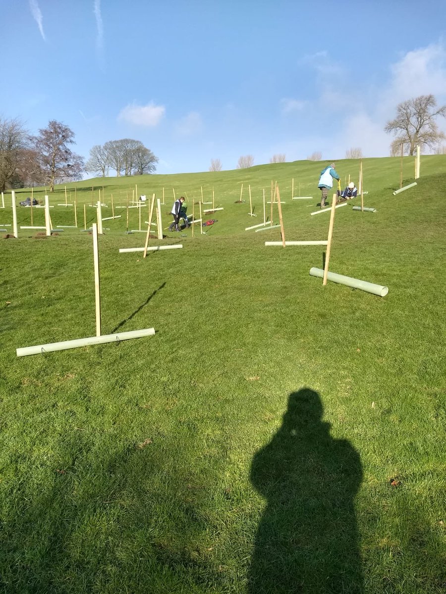 abbylcarroll's tweet photo. Blue skies tree planting today alongside all the worms, never seen so many !! https://t.co/dSN7ZrY73K