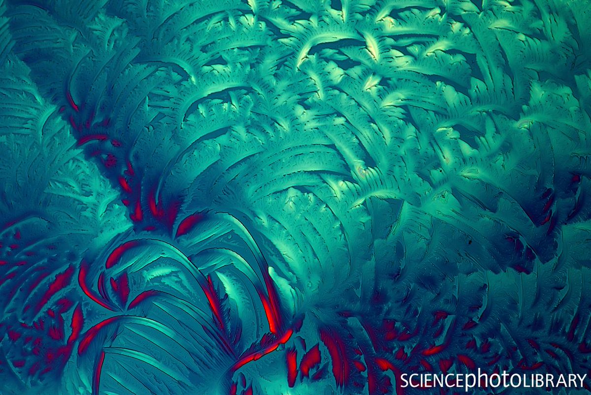 sciencephoto's tweet photo. Polarized light micrograph of a section through crystals of glycine, the simplest of the amino acids.

Credit: Marek Mis / Science Photo Library
https://t.co/XAVzlwmVVk 

 #science #microscopy #lightmicrograph #abstract #aminoacid #biochemical #chemistry #crystal #pattern https://t.co/xJj9LNOrAa
