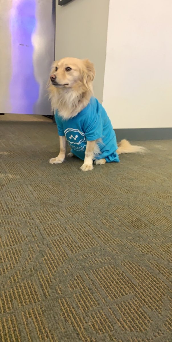 maxversace's tweet image. Bode is ready for #pictureday here at Neurala HQ

#FridayFeeling #TechPup