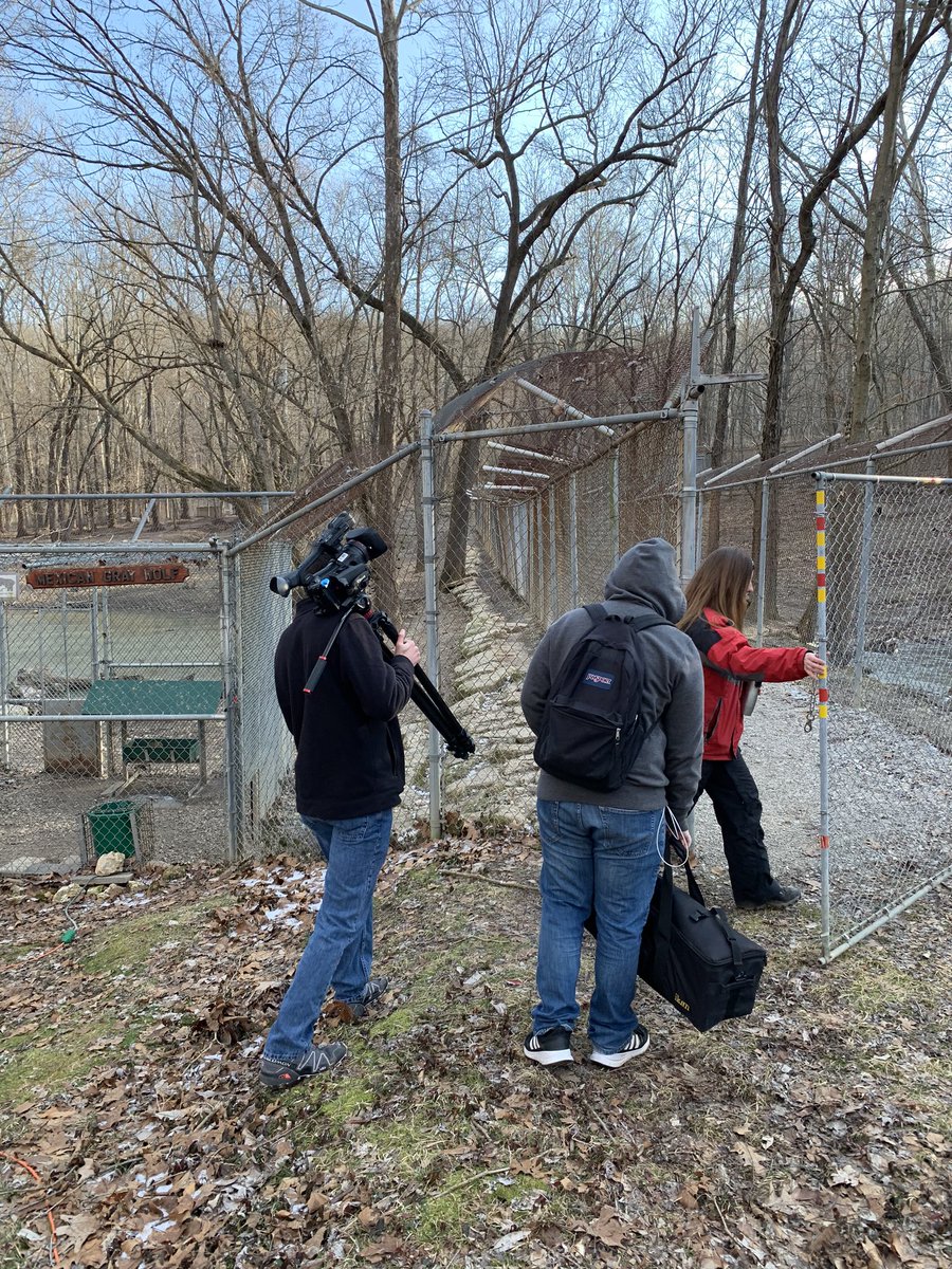 Outside of St. Louis at the Endangered Wolf Center focusing on the recovery efforts of Mexican Grey wolves with <a href="/DylMcK14/">Dylan McKim KXAN-AUSTIN</a> and <a href="/howley_chris/">Christopher Howley</a> <a href="/cronkitenews/">Cronkite News</a>