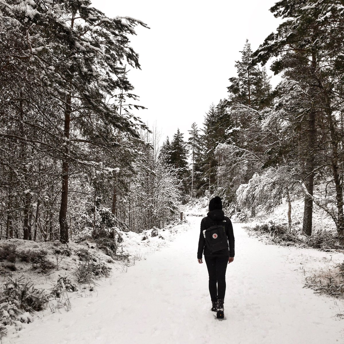 Will we be getting more snow this weekend 🤞🏻 This was last February at <a href="/Glen_Tanar/">Glen Tanar</a> &amp; it was magical!! hollieberries.co.uk/2019/02/07/wal… #snowday #lbloggers #visitscotland #aberdeenshire #beautifulABDN #scotland #StormCiara #snow #naturelovers #Winterwatch