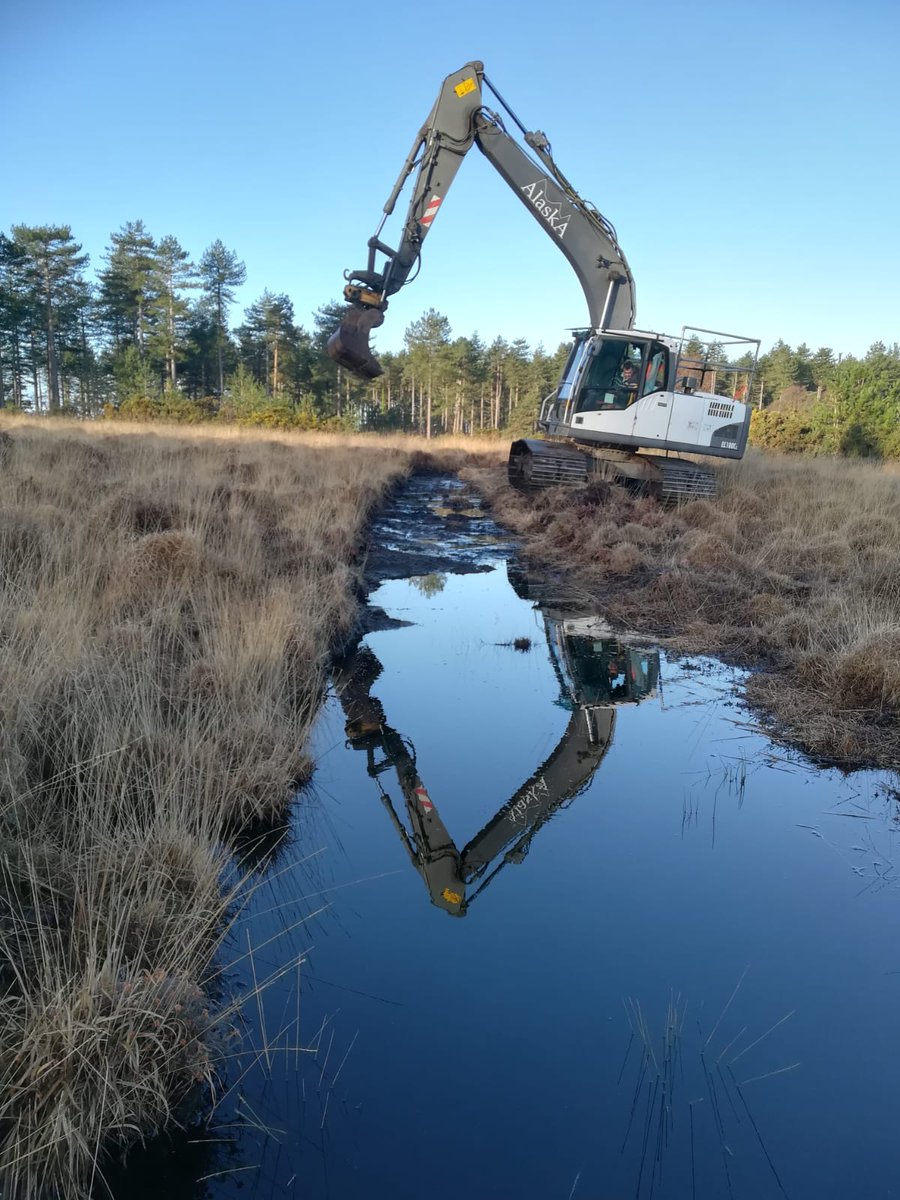 alaska_ltd's tweet photo. Mire restoration and bare ground creation #DorsetsHeathlandHeart https://t.co/opVxBKugv7