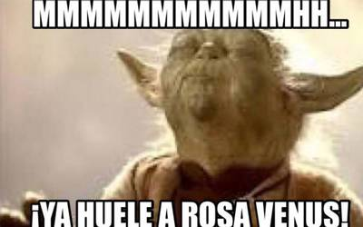 Cristopher Zarazua tweet media