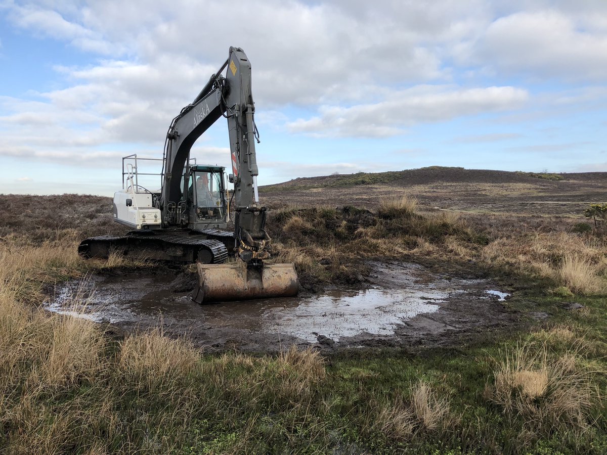 alaska_ltd's tweet photo. Pillwort Pond Creation #DorsetHeathlandHeart https://t.co/YLI1rQ32CL