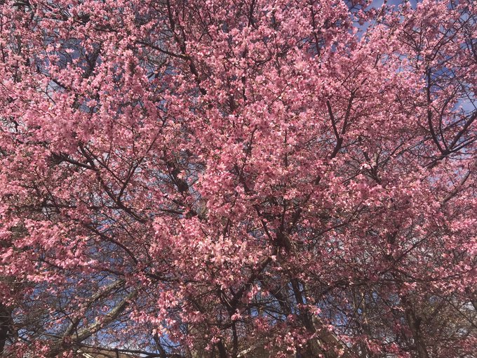 View image on Twitter