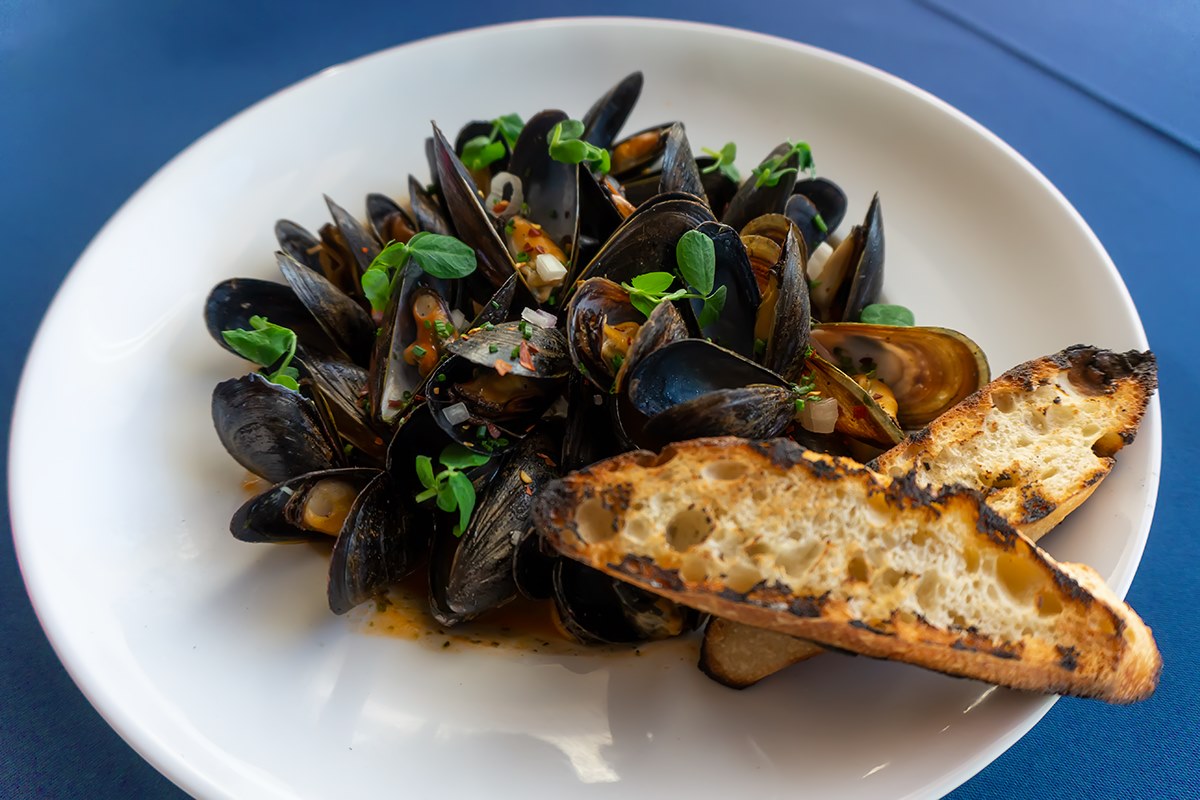 Mussels Name In Telugu Animaltree