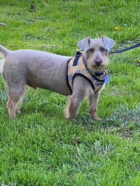 KenMarRescue's tweet photo. Have you seen our latest news? https://t.co/CeTcrtZFZH https://t.co/3gNmZBigLA