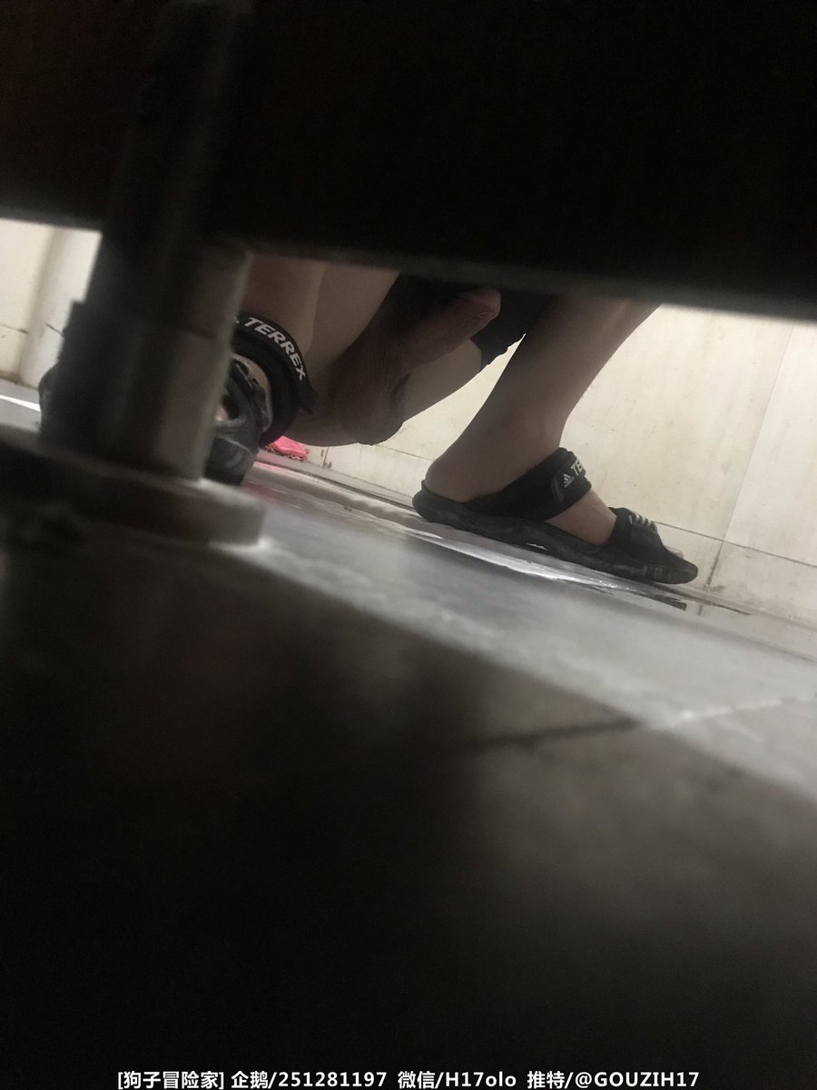 狗子冒险家 tweet media