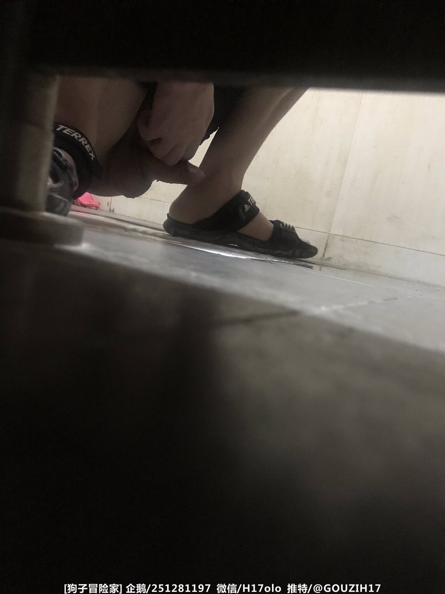 狗子冒险家 tweet media