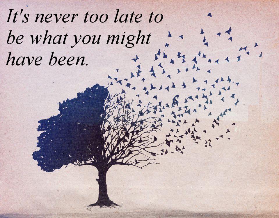 JeanSGoldstein's tweet photo. Last night, my son and I began reading a book together, which opened with the quote below from George Eliot. We discussed how this quote is for all ages.This is not just a #fridaymotivation quote, but it is a fact: “It’s never too late to be what you might have been.” #factfriday https://t.co/hQ2YmkaSpQ