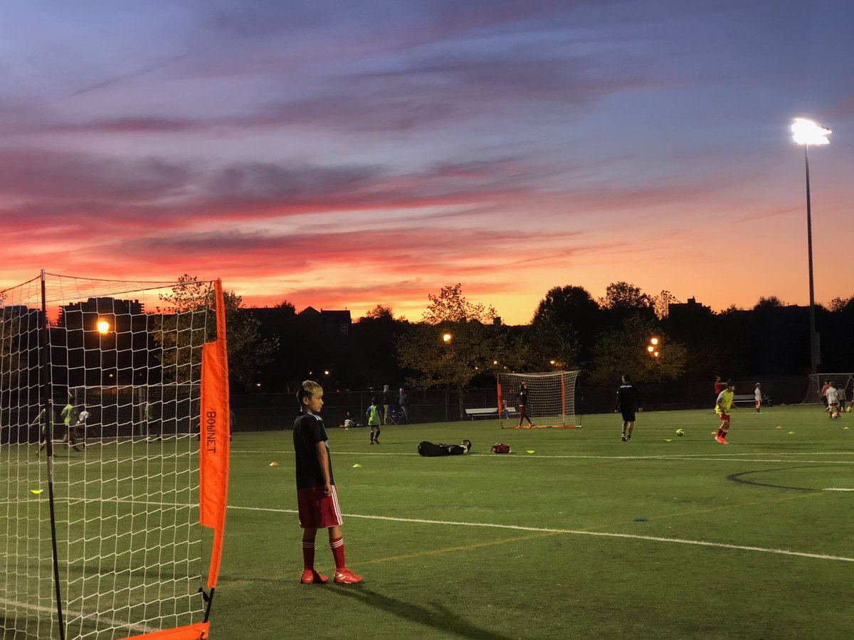 Alexandria Soccer tweet media