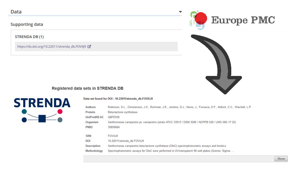 BeilsteinInst's tweet photo. Now, first paper abstracts indexed by @EuropePMC_news are linked to supporting data deposited in #STRENDA_DB (https://t.co/22v1XIcxgQ).
Thanks for the great cooperation in making research data findable and accessible more comprehensively. https://t.co/XBZpRqwg5X