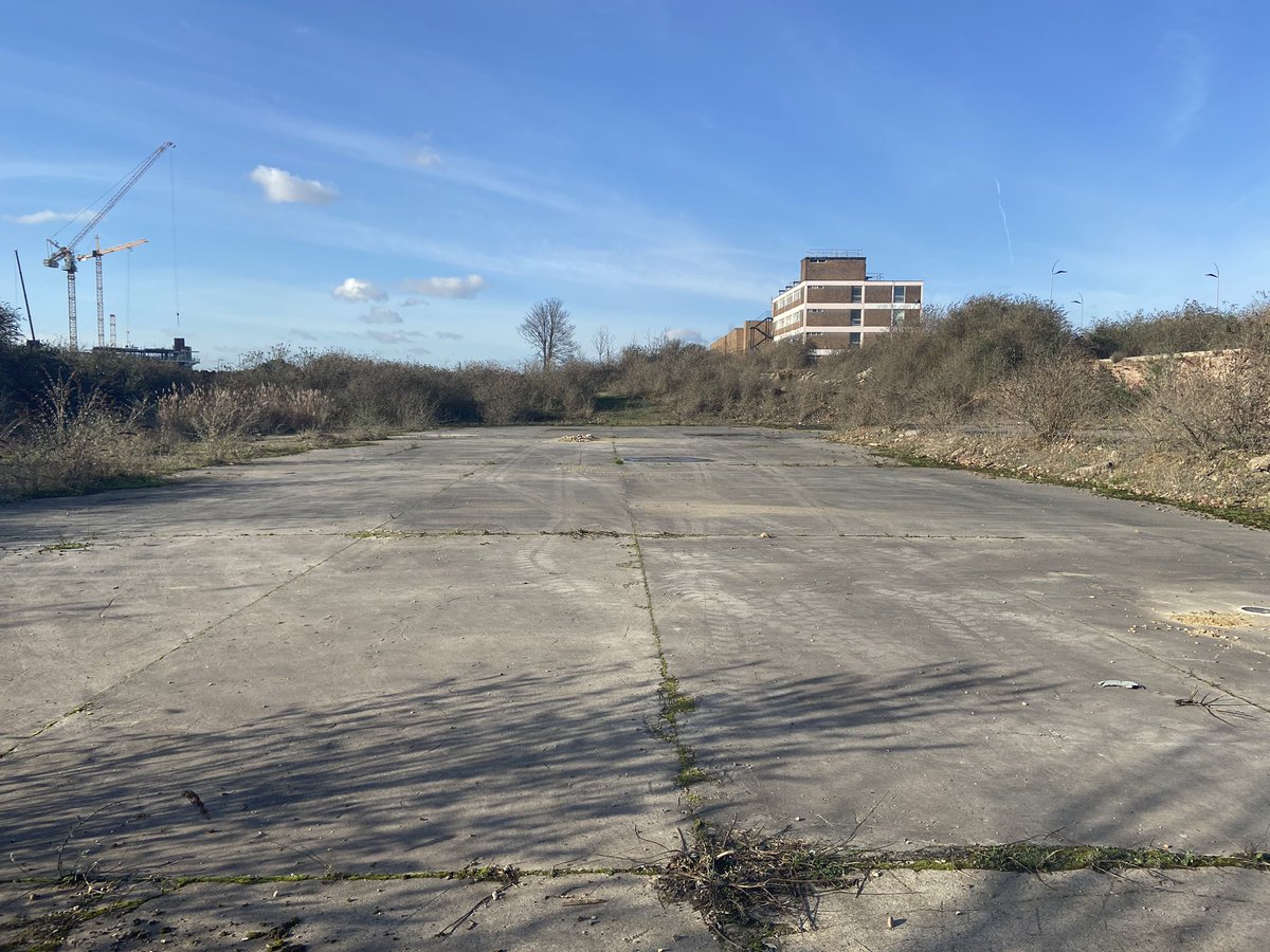 Pace_Consult's tweet photo. New school site in Dagenham. Pretty noisey so attenuated natural vent proposed @MonodraughtLtd #acoustics #BB93 https://t.co/H7zd2dI4N9