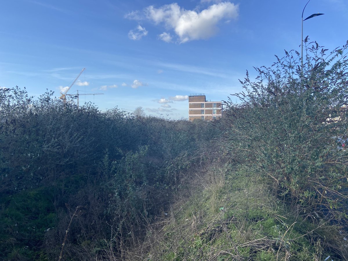 Pace_Consult's tweet photo. New school site in Dagenham. Pretty noisey so attenuated natural vent proposed @MonodraughtLtd #acoustics #BB93 https://t.co/H7zd2dI4N9