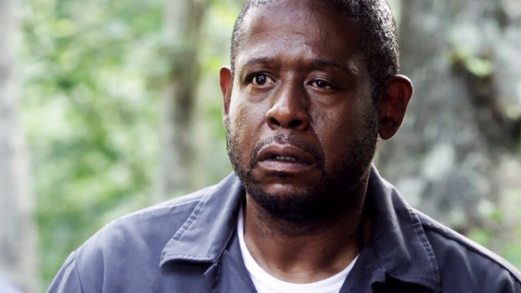mata311's tweet photo. @PudLightLime @firstClassFunk @atlasimpure @Chg4theBtr @theferrit32 @MlSTERNlCEGUY @LakeLifeIsGreat @CalebJHull @tomselliott @AOC That shit gives me Forest Whitaker eye https://t.co/cJT0uiUz73