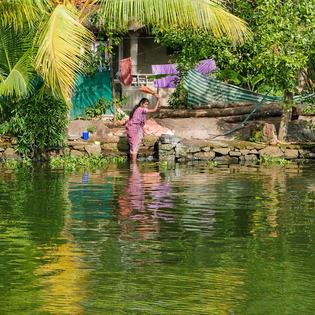 DunyaninRenkler's tweet image. Kalabalık sokakları, baharatlı yemekleri ve gizemli gelenekleri ile tanıdığımız Hindistan&apos;ı alışılmışın dışında bir seyahat ile keşfetmiştik! Bu fotoğraflar da o seyahatimizden bize kalanlar... Dingin, kendi halinde ve  doğanın içinde bir Hindistan 🇮🇳 #India #travelphotography