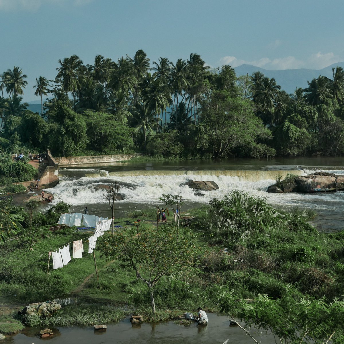 DunyaninRenkler's tweet image. Kalabalık sokakları, baharatlı yemekleri ve gizemli gelenekleri ile tanıdığımız Hindistan&apos;ı alışılmışın dışında bir seyahat ile keşfetmiştik! Bu fotoğraflar da o seyahatimizden bize kalanlar... Dingin, kendi halinde ve  doğanın içinde bir Hindistan 🇮🇳 #India #travelphotography