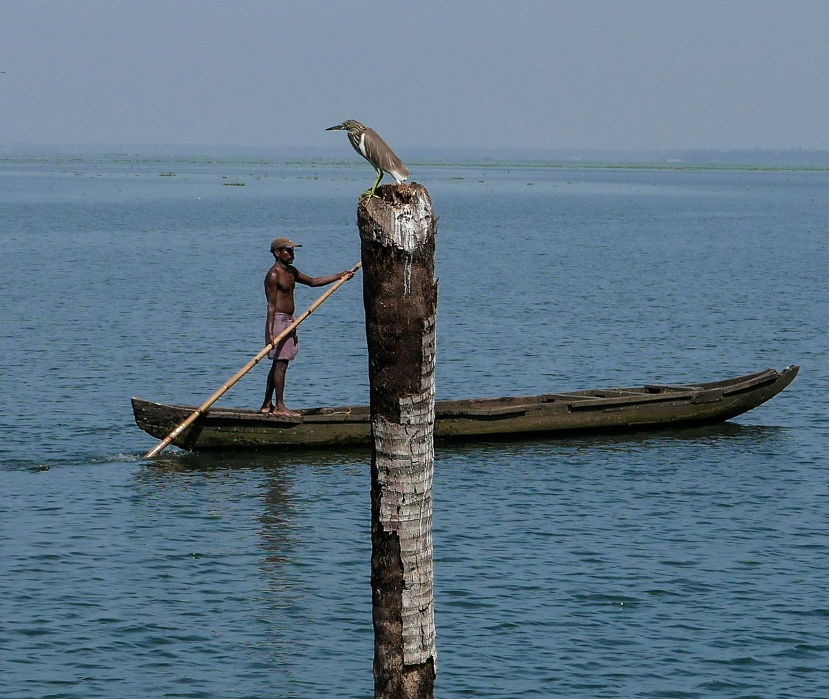 DunyaninRenkler's tweet image. Kalabalık sokakları, baharatlı yemekleri ve gizemli gelenekleri ile tanıdığımız Hindistan&apos;ı alışılmışın dışında bir seyahat ile keşfetmiştik! Bu fotoğraflar da o seyahatimizden bize kalanlar... Dingin, kendi halinde ve  doğanın içinde bir Hindistan 🇮🇳 #India #travelphotography