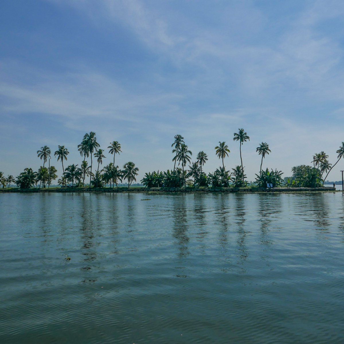 DunyaninRenkler's tweet image. Kalabalık sokakları, baharatlı yemekleri ve gizemli gelenekleri ile tanıdığımız Hindistan&apos;ı alışılmışın dışında bir seyahat ile keşfetmiştik! Bu fotoğraflar da o seyahatimizden bize kalanlar... Dingin, kendi halinde ve  doğanın içinde bir Hindistan 🇮🇳 #India #travelphotography